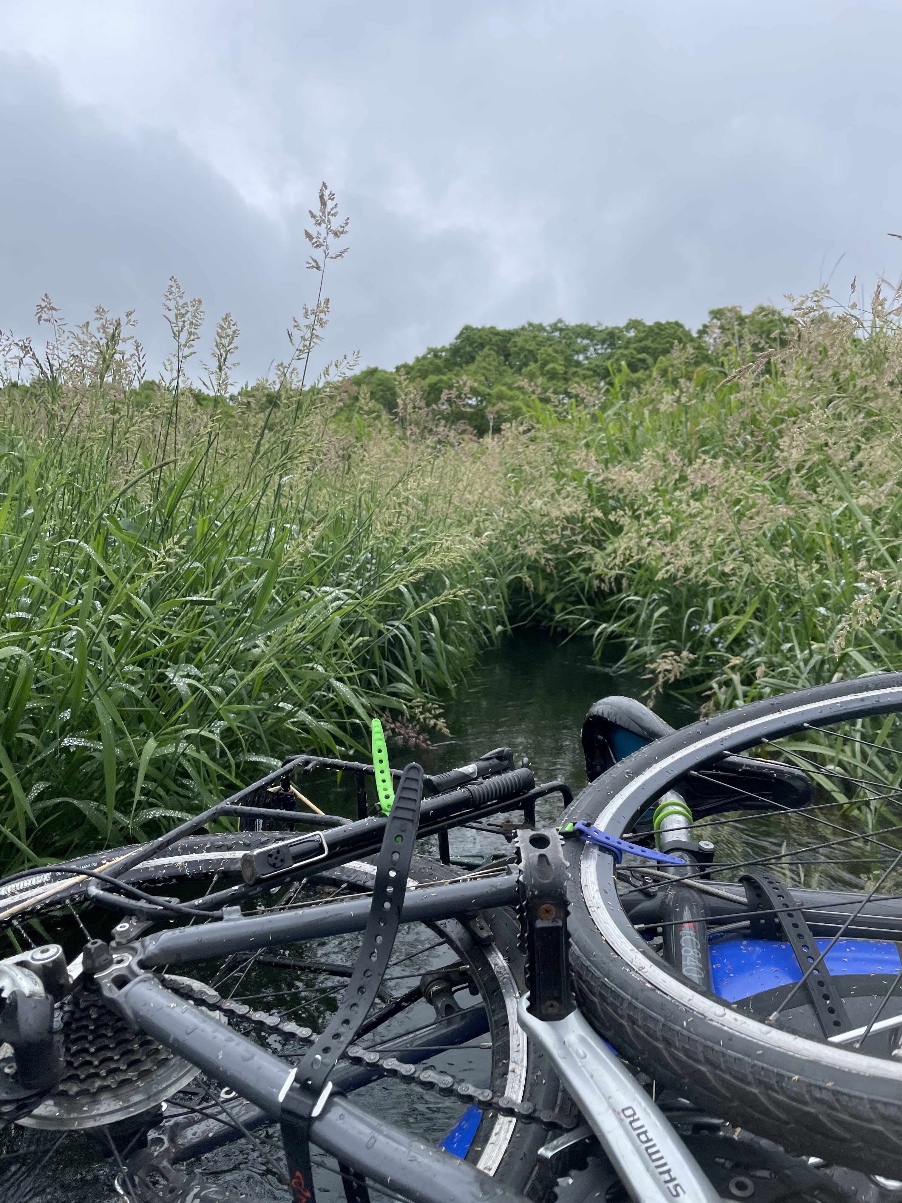 Tall grass closing in over the narrow channel just past the put-in