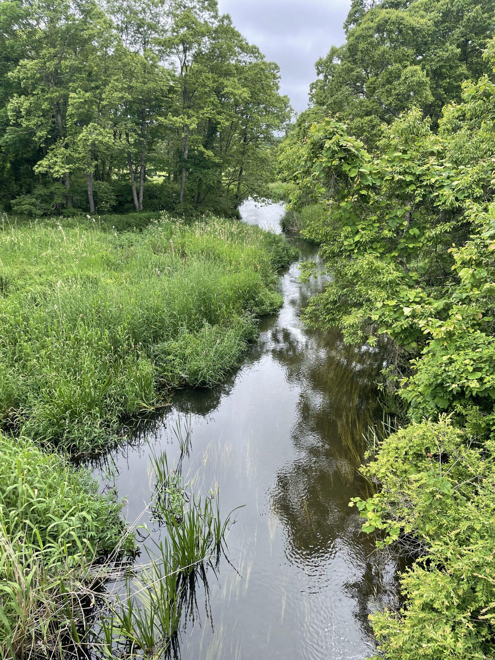 The Bibi River again, back near Matsubibi Bridge